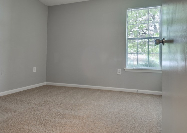 Empty bedroom with carpet and window